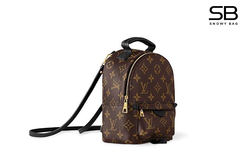 Ba Lô LV Palm Springs Mini Monogram Nâu 22CM sang trọng và thời thượng