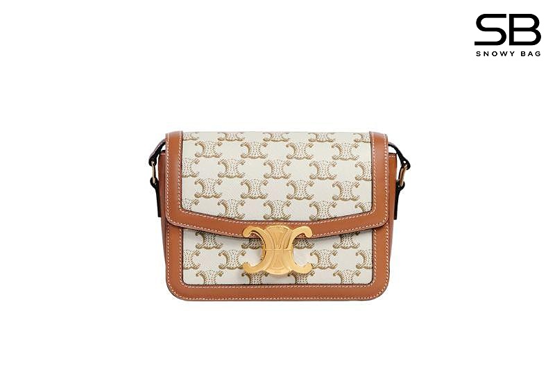 Túi Celine Teen Triomphe Bag in Triomphe Canvas và Calfskin trắng