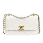 Túi Chanel 24C Double Pearl Crush Mini Flap White Calfskin GHW 19CM Trắng sang trọng
