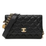 Túi Chanel Twist Your Button Woc Wallet on Chain Black Caviar GHW sang trọng