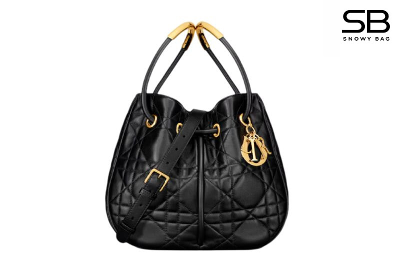 Túi Dior Nolita Medium Black Lambskin Màu Đen sang trọng và thời thượng