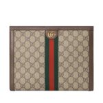 Túi Gucci Ophidia Pouch GG Supreme with Web sang trọng