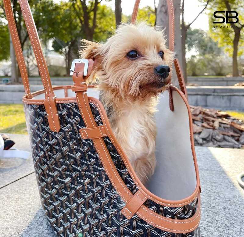 Túi Goyard loại lớn có thể chứa 1 chú chó