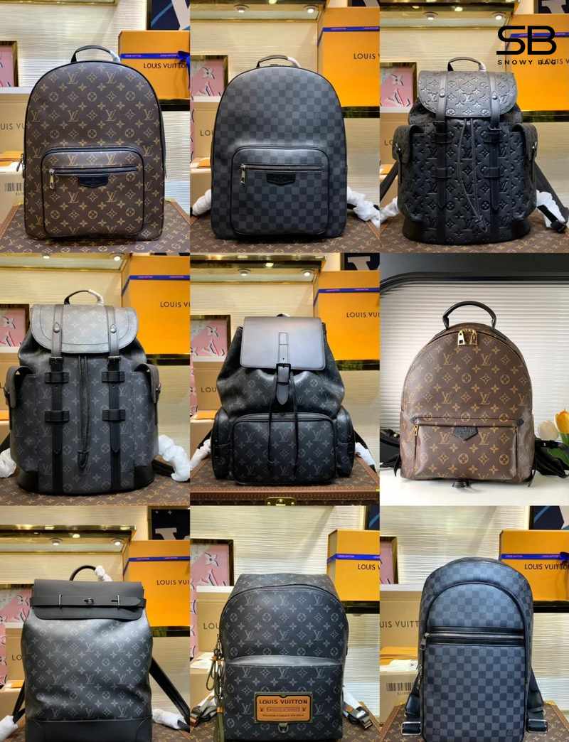 Các mẫu Balo Louis Vuitton ở Snowy Bag Store