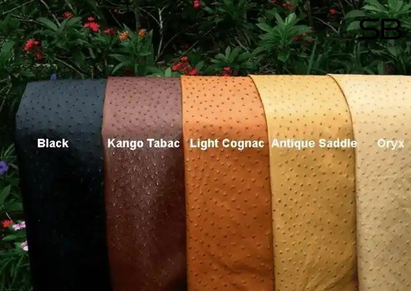 Các màu sắc da đà điểu sau khi thuộc da